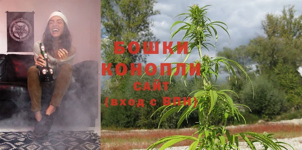 бошки Белокуриха