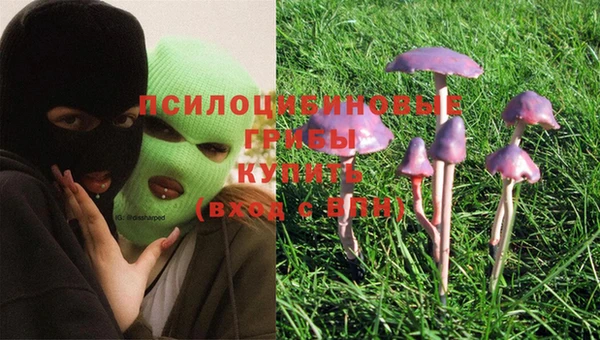 бошки Белокуриха