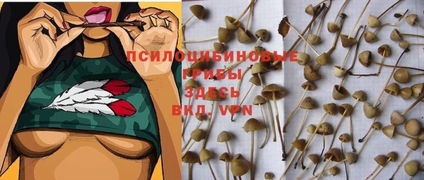 бутират Беломорск