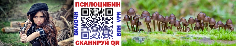 дарк нет клад  Кодинск  Псилоцибиновые грибы Psilocybine cubensis 
