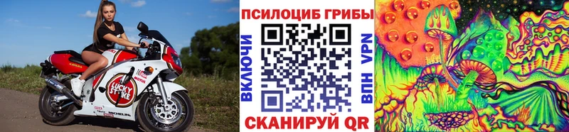 Галлюциногенные грибы Psilocybine cubensis Кодинск